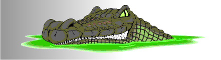 CC Krokodil